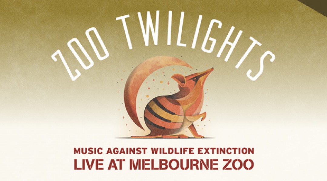 Visit the Melbourne Zoo Twilights During Your Stay at Melbourne BIG4 Holiday Park