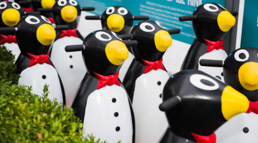 river rink fed square